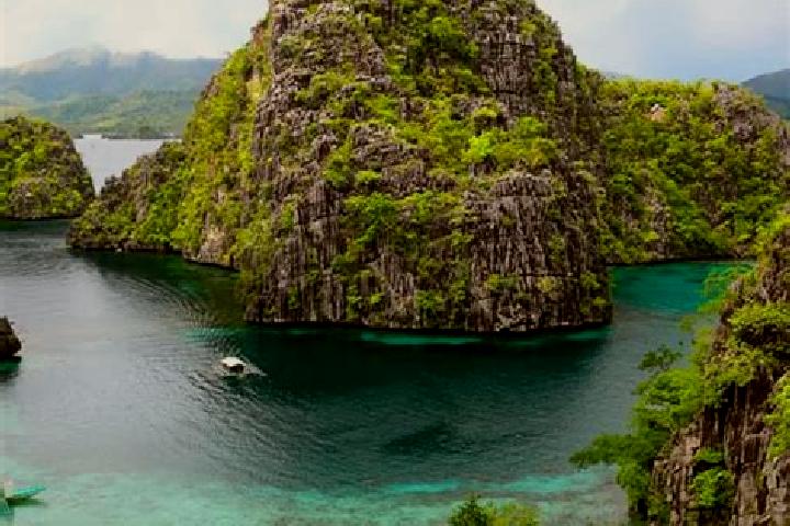 Celexa celexa breastfeeding safety pharmacy