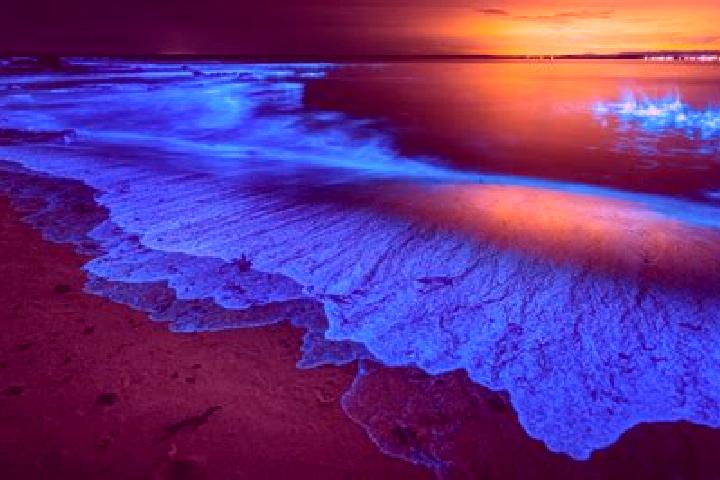 Celexa interaction between celexa and blood pressure medication