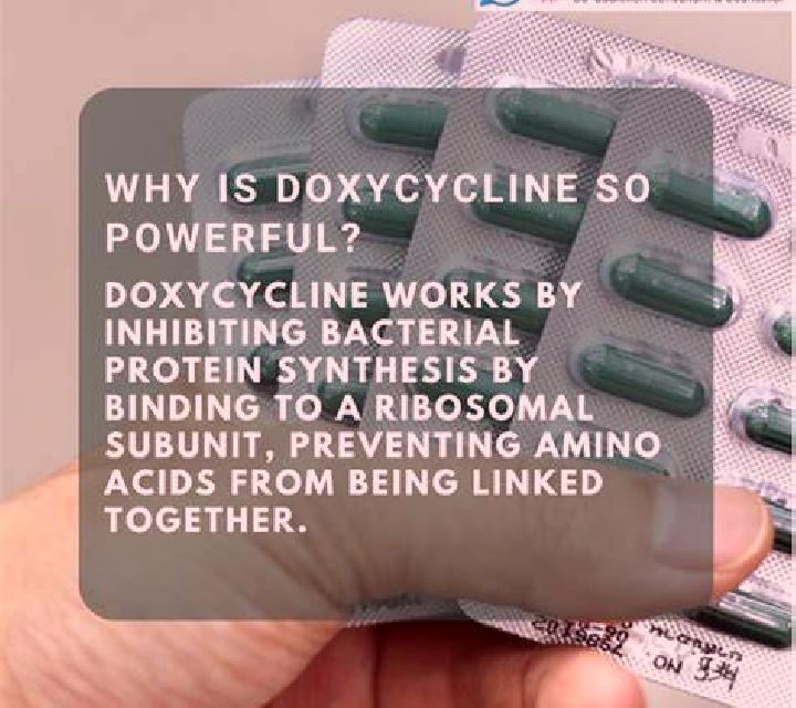 Eldepryl medication