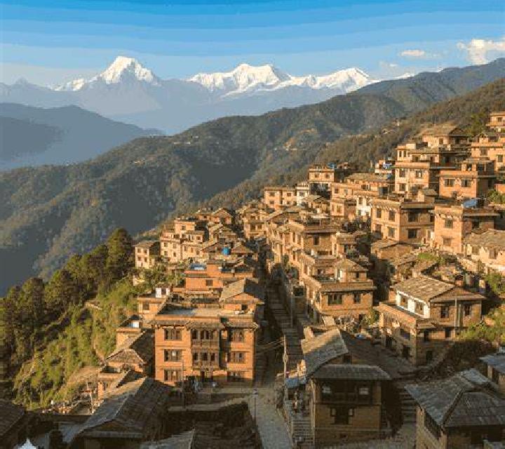 Modaheal pills