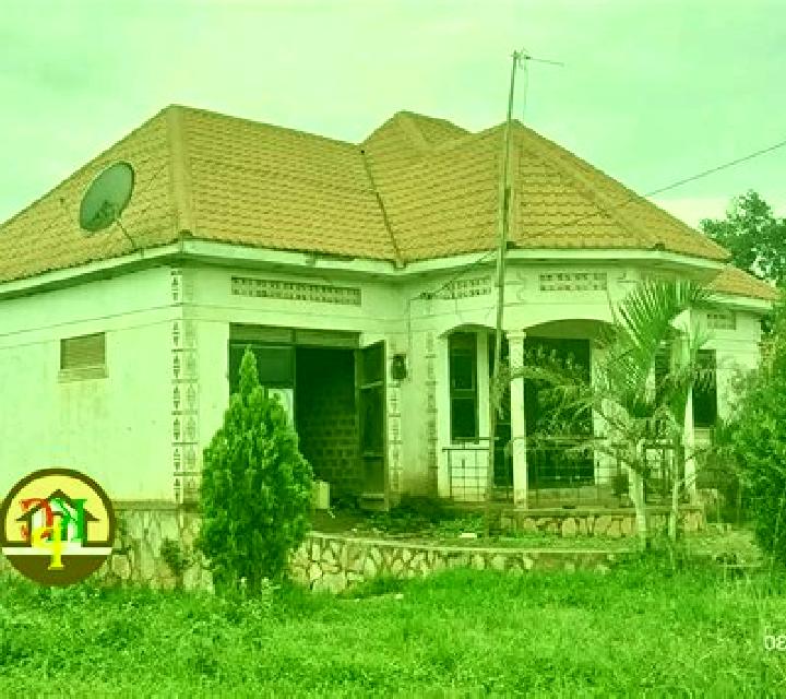 Montair pharmacy