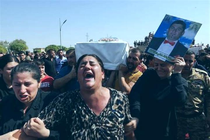 Provigil provigil approved diagnosis codes pills
